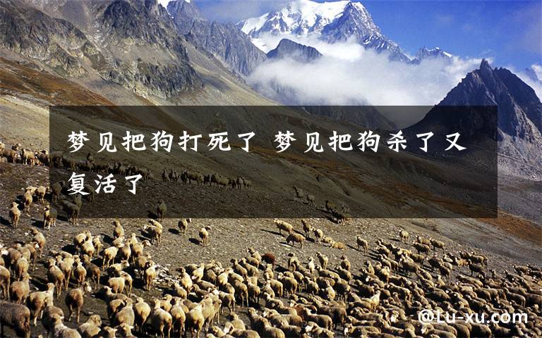 梦见把狗打死了 梦见把狗杀了又复活了