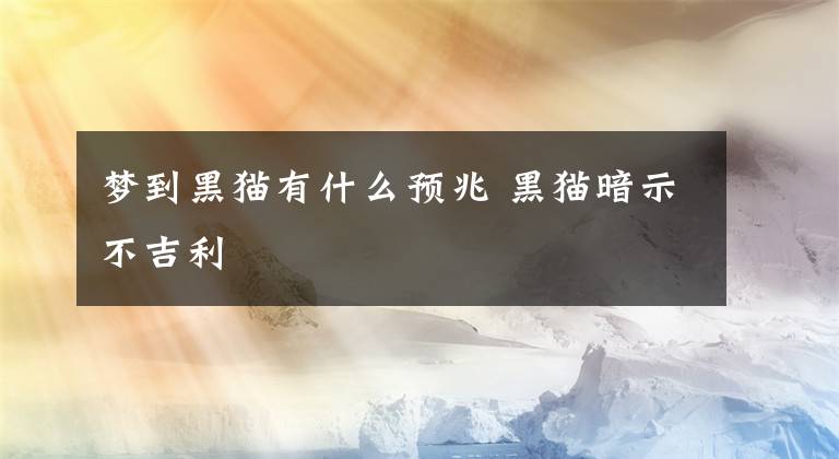 梦到黑猫有什么预兆 黑猫暗示不吉利