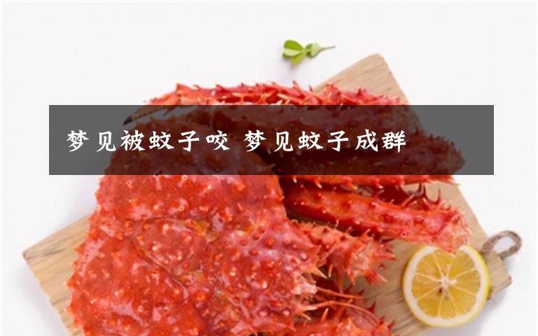 梦见被蚊子咬 梦见蚊子成群