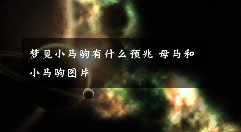 梦见小马驹有什么预兆 母马和小马驹图片