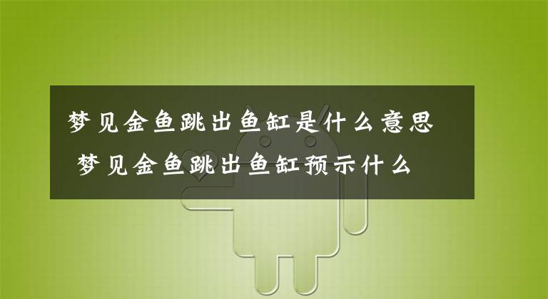 梦见金鱼跳出鱼缸是什么意思 梦见金鱼跳出鱼缸预示什么