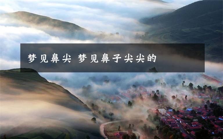 梦见鼻尖 梦见鼻子尖尖的