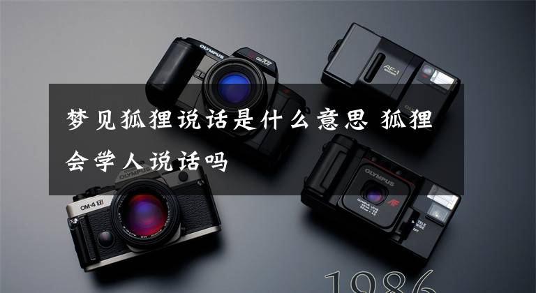 梦见狐狸说话是什么意思 狐狸会学人说话吗