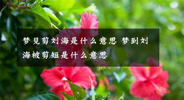 梦见剪刘海是什么意思 梦到刘海被剪短是什么意思