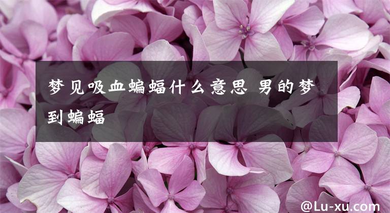 梦见吸血蝙蝠什么意思 男的梦到蝙蝠
