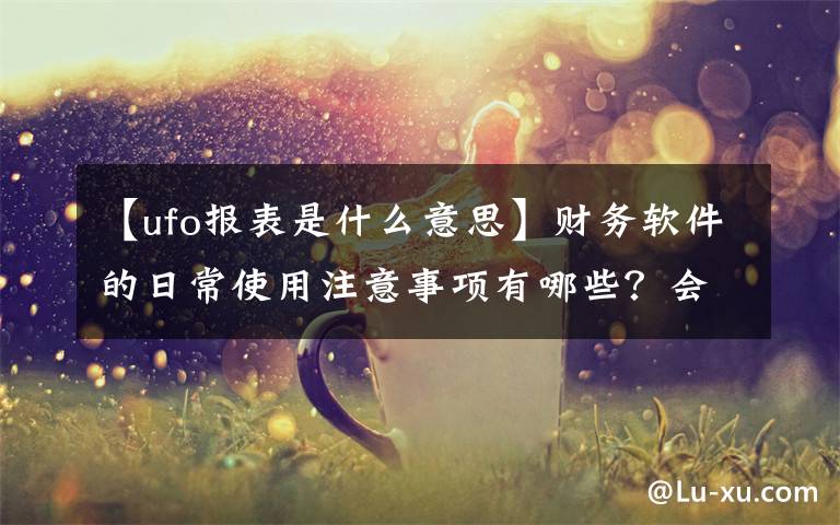 【ufo报表是什么意思】财务软件的日常使用注意事项有哪些？会计实操干货！