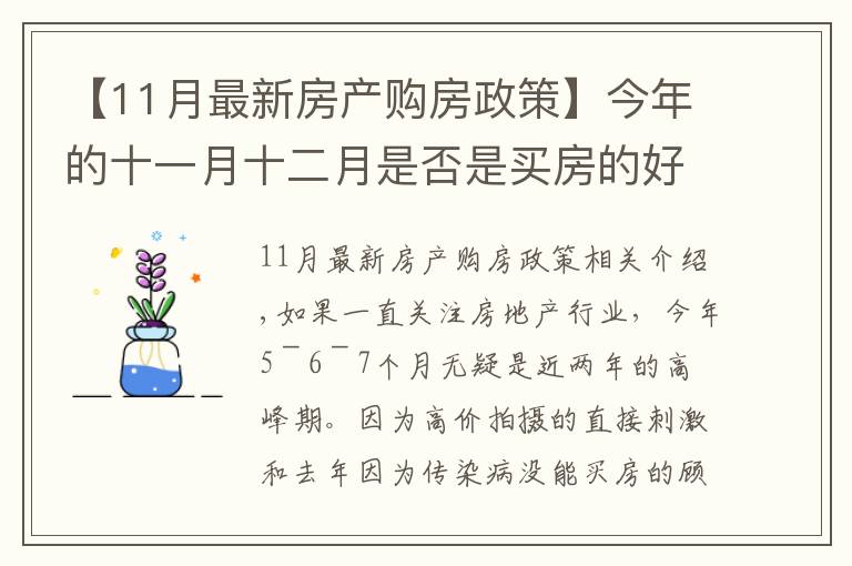 【11月最新房产购房政策】今年的十一月十二月是否是买房的好时机呢