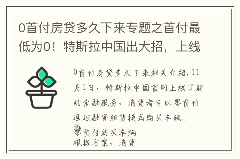0首付房贷多久下来专题之首付最低为0！特斯拉中国出大招，上线全新购车服务，车企纷纷发力
