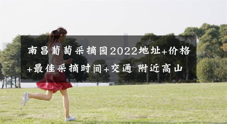 南昌葡萄采摘园2022地址+价格+最佳采摘时间+交通 附近高山葡萄采摘园