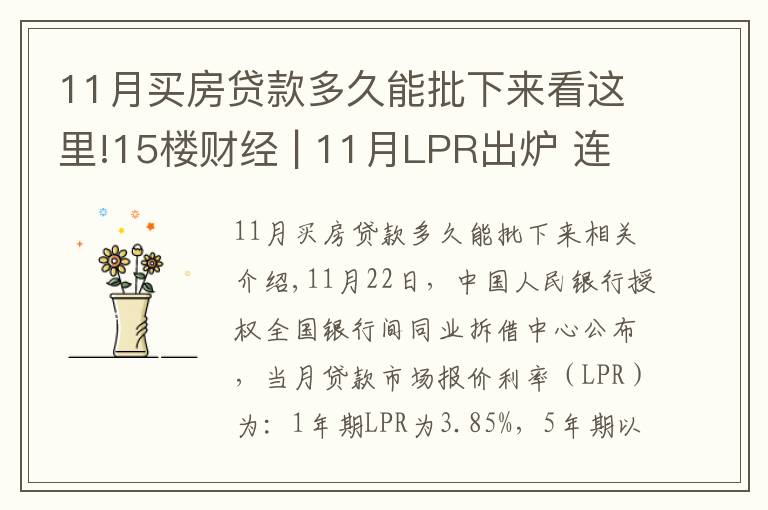 11月买房贷款多久能批下来看这里!15楼财经 | 11月LPR出炉 连续19个月“按兵不动”传递什么信号？