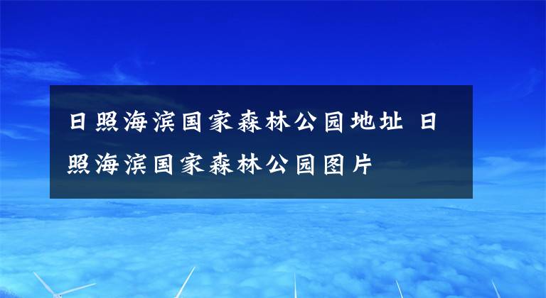 日照海滨国家森林公园地址 日照海滨国家森林公园图片