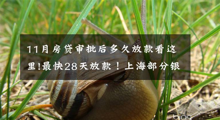 11月房贷审批后多久放款看这里!最快28天放款！上海部分银行房贷放款提速周期缩短致1-2个月