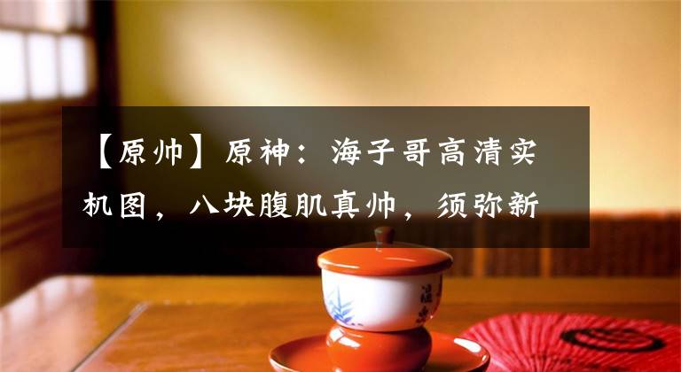 【原帅】原神：海子哥高清实机图，八块腹肌真帅，须弥新BOOS实机演示！
