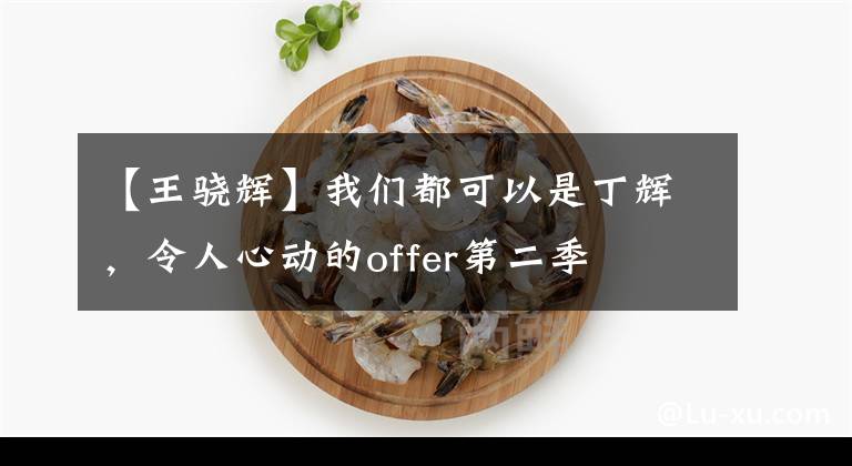 【王骁辉】我们都可以是丁辉，令人心动的offer第二季