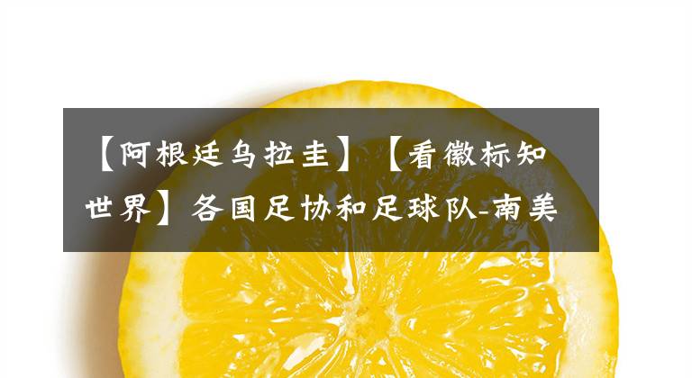 【阿根廷乌拉圭】【看徽标知世界】各国足协和足球队-南美足联篇