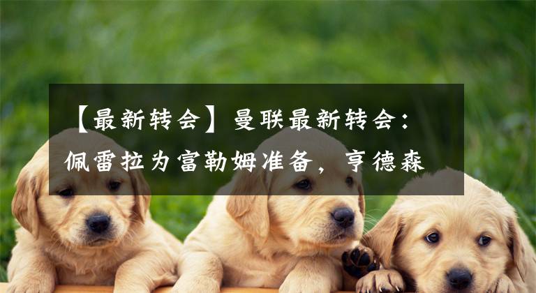 【最新转会】曼联最新转会：佩雷拉为富勒姆准备，亨德森接触诺丁汉森林