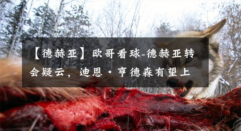 【德赫亚】欧哥看球-德赫亚转会疑云，迪恩·亨德森有望上位
