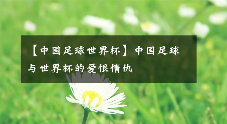 【中国足球世界杯】中国足球与世界杯的爱恨情仇