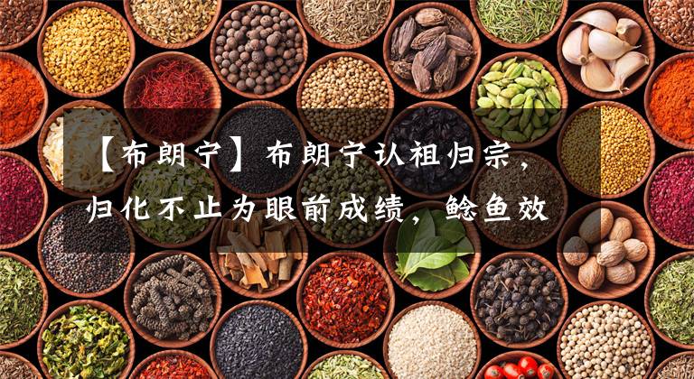 【布朗宁】布朗宁认祖归宗，归化不止为眼前成绩，鲶鱼效应呈现于中国足球！