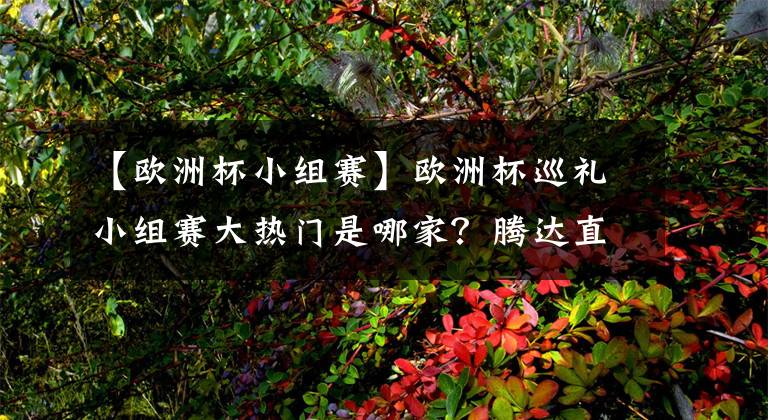 【欧洲杯小组赛】欧洲杯巡礼小组赛大热门是哪家？腾达直播在线侃球！