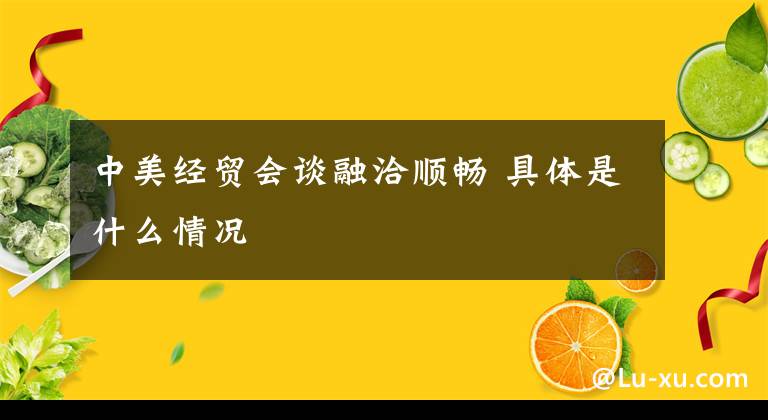 中美经贸会谈融洽顺畅 具体是什么情况