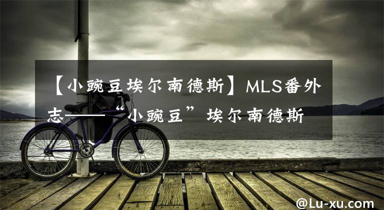 【小豌豆埃尔南德斯】MLS番外志——“小豌豆”埃尔南德斯能否在洛杉矶焕发第二春？