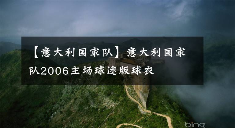 【意大利国家队】意大利国家队2006主场球迷版球衣