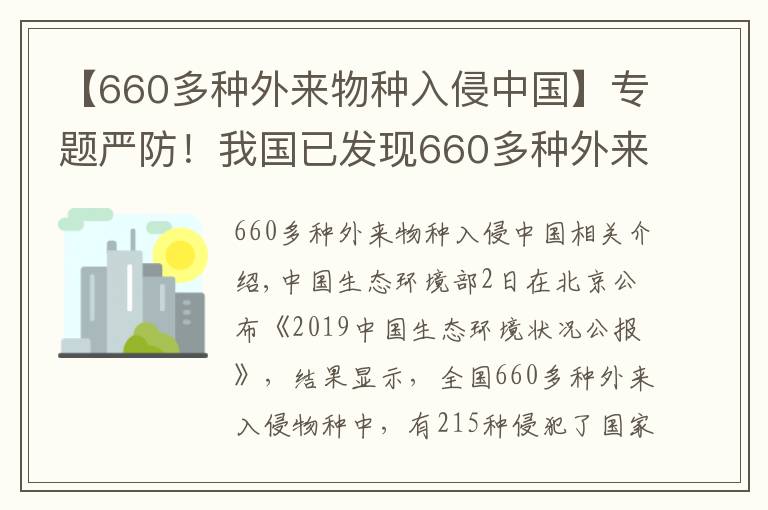【660多种外来物种入侵中国】专题严防！我国已发现660多种外来入侵物种 小龙虾曾上榜