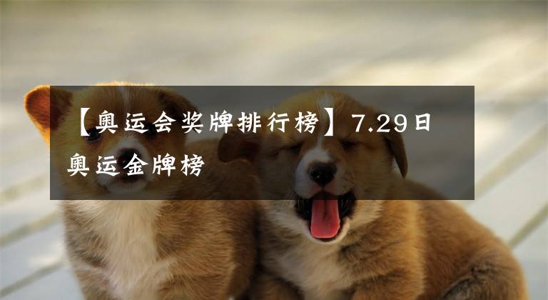 【奥运会奖牌排行榜】7.29日奥运金牌榜