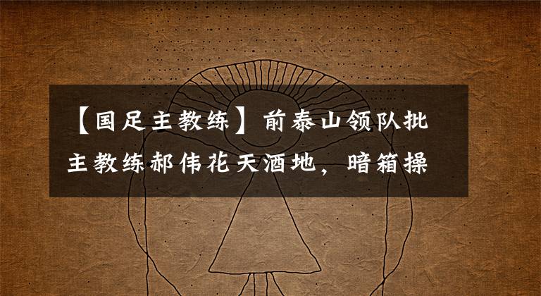【国足主教练】前泰山领队批主教练郝伟花天酒地，暗箱操作
