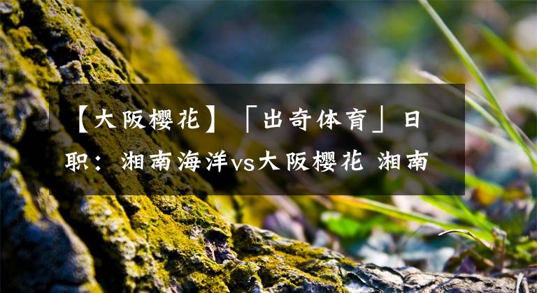【大阪樱花】「出奇体育」日职：湘南海洋vs大阪樱花 湘南前锋脚感正热