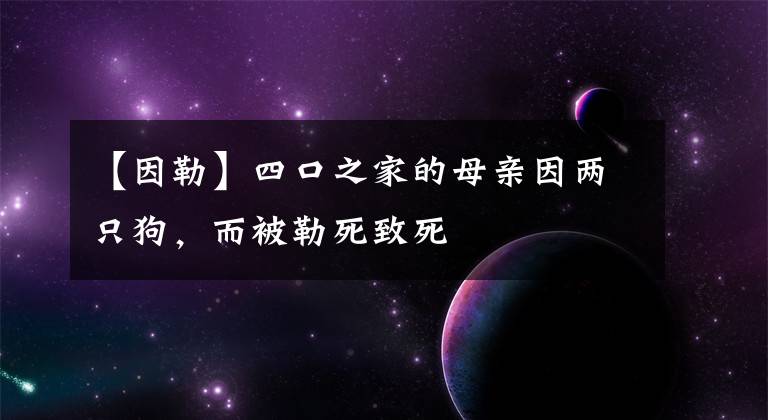 【因勒】四口之家的母亲因两只狗，而被勒死致死