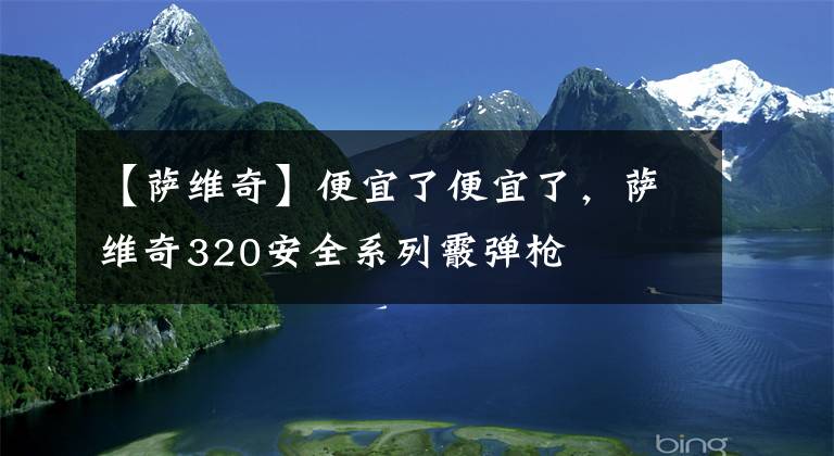 【萨维奇】便宜了便宜了，萨维奇320安全系列霰弹枪