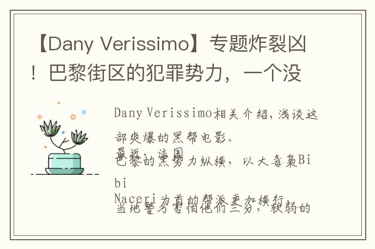 【Dany Verissimo】专题炸裂凶！巴黎街区的犯罪势力，一个没有法律制度的地方