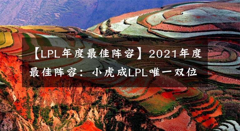 【LPL年度最佳阵容】2021年度最佳阵容：小虎成LPL唯一双位置都拿到过年度最佳的选手