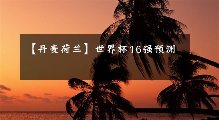 【丹麦荷兰】世界杯16强预测