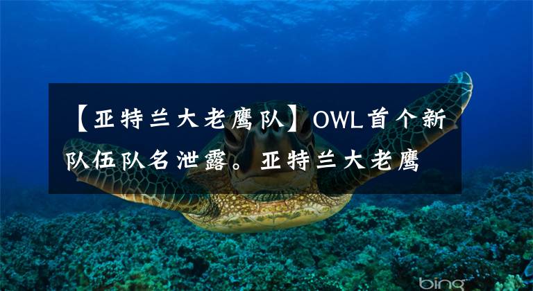 【亚特兰大老鹰队】OWL首个新队伍队名泄露。亚特兰大老鹰？