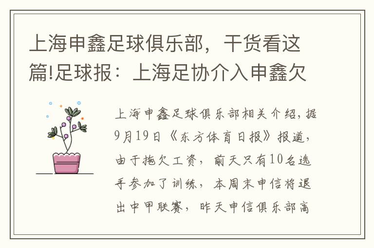 上海申鑫足球俱乐部，干货看这篇!足球报：上海足协介入申鑫欠薪罢赛，积极寻求解决办法