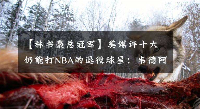 【林书豪总冠军】美媒评十大仍能打NBA的退役球星：韦德阿德领衔，雷阿伦书豪在列