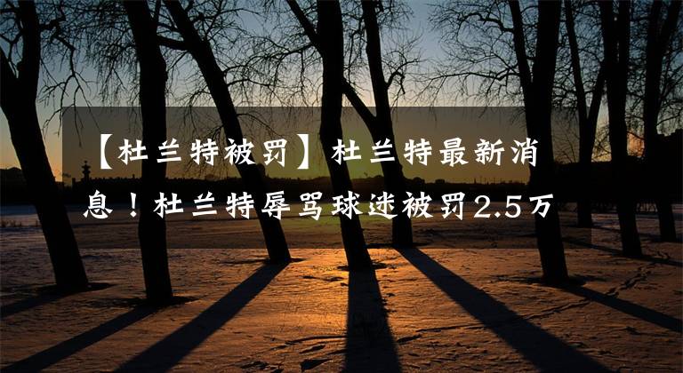 【杜兰特被罚】杜兰特最新消息！杜兰特辱骂球迷被罚2.5万美金，力挺欧文专注事业