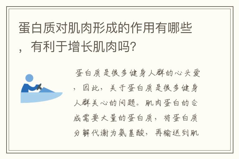 蛋白质对肌肉形成的作用有哪些，有利于增长肌肉吗？