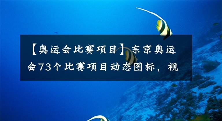 【奥运会比赛项目】东京奥运会73个比赛项目动态图标，视觉效果堪称惊艳！