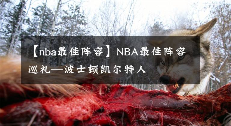 【nba最佳阵容】NBA最佳阵容巡礼—波士顿凯尔特人
