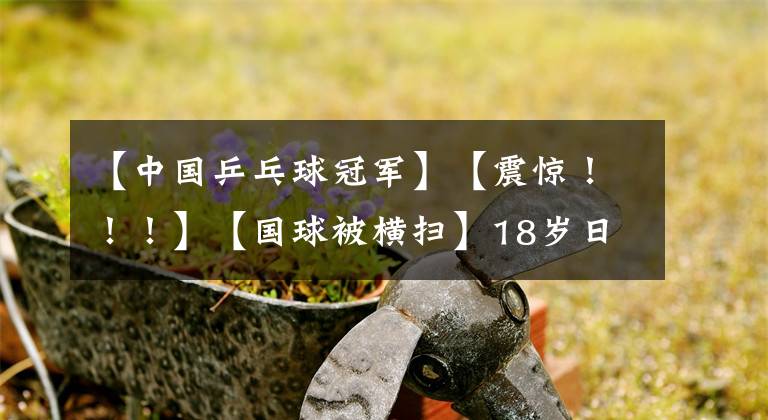 【中国乒乓球冠军】【震惊！！！】【国球被横扫】18岁日本天才小将 伊藤美诚连胜3名中国世界冠军夺冠。