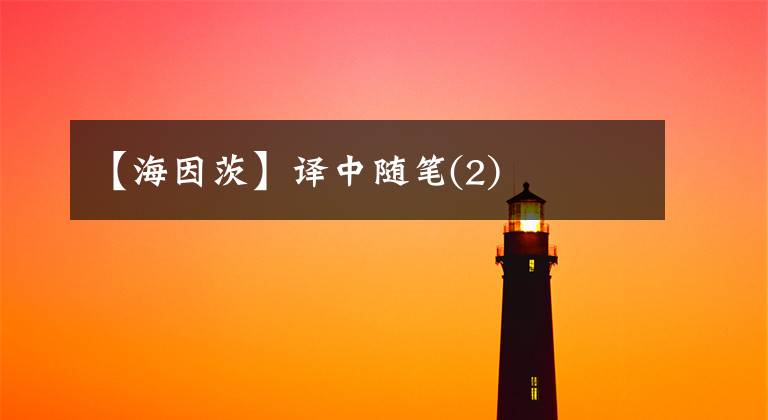【海因茨】译中随笔(2)