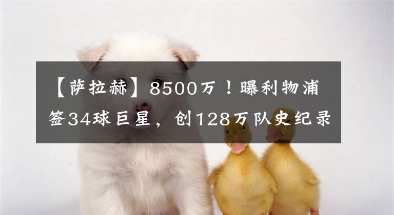 【萨拉赫】8500万！曝利物浦签34球巨星，创128万队史纪录，萨拉赫难当老大