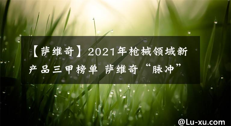 【萨维奇】2021年枪械领域新产品三甲榜单 萨维奇“脉冲”直拉栓动步枪夺魁