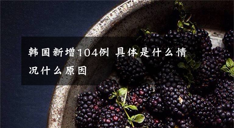 韩国新增104例 具体是什么情况什么原因
