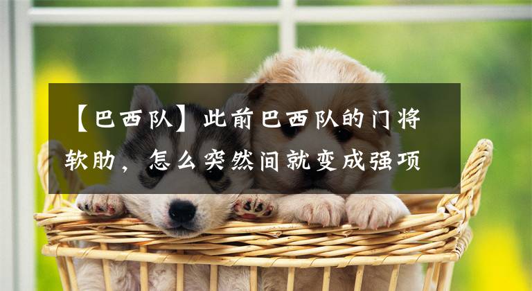 【巴西队】此前巴西队的门将软肋，怎么突然间就变成强项了？