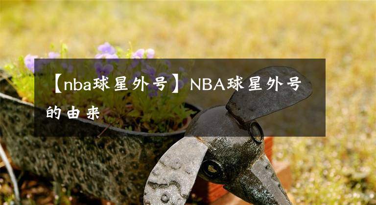 【nba球星外号】NBA球星外号的由来